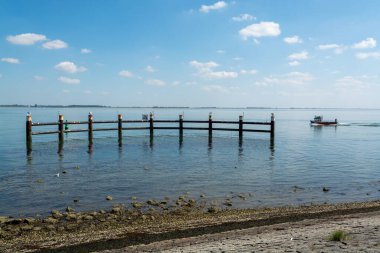 Yerseke yakınlarındaki Oesterschelde sahilleri ve kıyı şeridi boyunca yürüyen Zeeland, Hollanda
