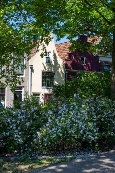 Wandelen Oude Straatjes Van Vissersdorp Harlingen Aan Waddenzee Friesland Nederland — Stockfoto