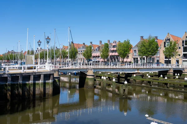 Vandring Gamla Gator Harlingen Fiskestad Wadden Havet Friesland Nederländerna Solig — Stockfoto