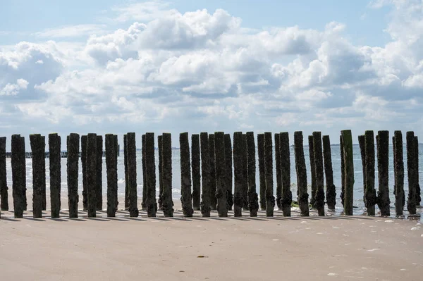 View Wooden Poles White Sandy North Sea Beach Zoutelande Zeeland — Stock Photo, Image