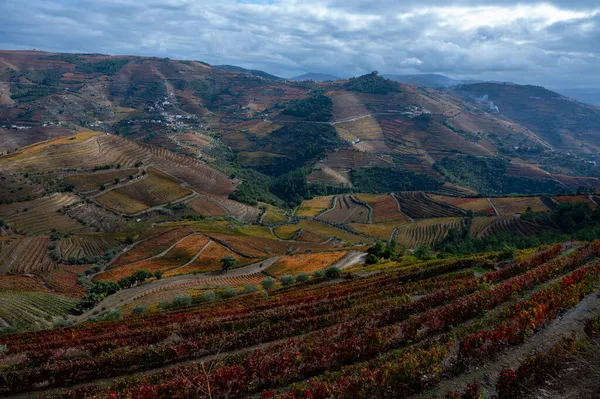 Vista Panoramica Sulla Valle Del Fiume Douro Colorate Scale Collinari — Foto Stock