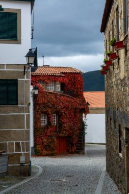Sonbaharda Douro Nehri Vadisi 'nin göbeğindeki eski köy Provesende' nin manzarası, Portekiz 'de şarap üretimi endüstrisi
