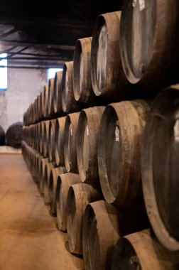 Portekiz 'in kuzeyindeki Vila Nova de Gaia' da güçlendirilmiş yakut ya da tawny porto şarabının yavaş yaşlanması için meşe ağacı fıçılarıyla dolu eski bir porto kulübesi.