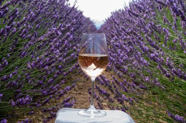 Fransız Provence 'de yaz mevsimi, Cotes de Provence' den soğuk gris gül şarabı ve Valensole platosundaki renkli lavanta tarlaları, Provence, Fransa 'nın tat ve aromaları.