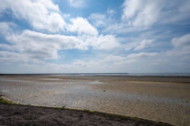 Hollanda, Zeeland, Grevelingenmeer 'de deniz tabanında alçak gelgit manzarası