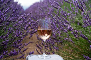 Fransız Provence 'de yaz mevsimi, Cotes de Provence' den soğuk gris gül şarabı ve Valensole platosundaki renkli lavanta tarlaları, Provence, Fransa 'nın tat ve aromaları.