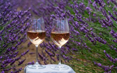 Fransız Provence 'de yaz mevsimi, Cotes de Provence' den soğuk gris gül şarabı ve Valensole platosundaki renkli lavanta tarlaları, Provence, Fransa 'nın tat ve aromaları.