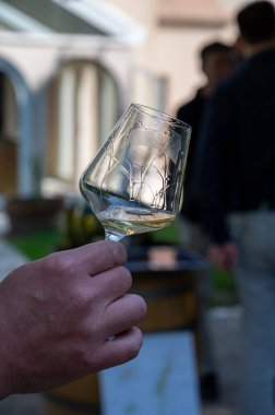 Şarap, şarap, şarap turizmi Fransa 'nın Burgundy Cote de Beaune şarap bölgesine şarap tadında pahalı bir şarap tatmak.