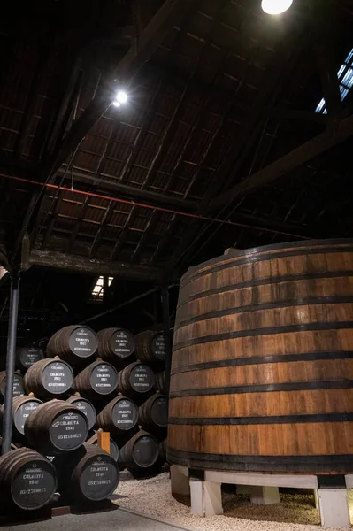 Vecchia Loggia Portuale Con File Botti Legno Quercia Lento Invecchiamento — Foto Stock