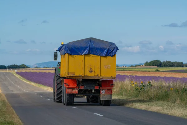 Destino Turístico Sur Francia Coloridos Campos Aromáticos Lavanda Lavanda Flor — Foto de Stock