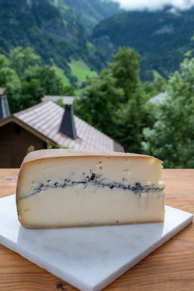 奶酪收集 法国奶酪从生牛乳停尸房和法国山村在上萨沃伊的夏天为背景 — 图库照片