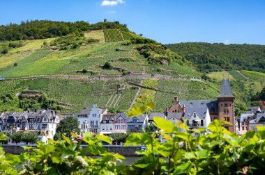 Mosel nehri manzaralı, üzüm bağları olan tepeler ve Almanya 'nın Zell kasabası.