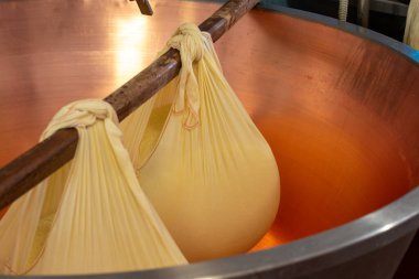 Parma, Reggio-Emilia, İtalya 'daki küçük bir peynir çiftliğinde parmesanlı parmesan peynirinin inek sütlü tekerleklerinden yapılan geleneksel bir işlem.
