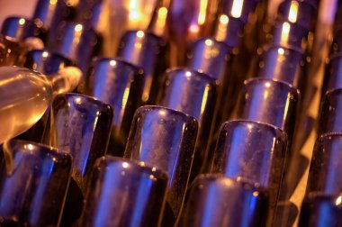 Derin ve uzun yeraltı mağaralarında, raflarda tozlu şişelerle yürür, Chardonnay 'den şampanya ve Reims, Champagne, France' da pinor noir üzümleri yapar.