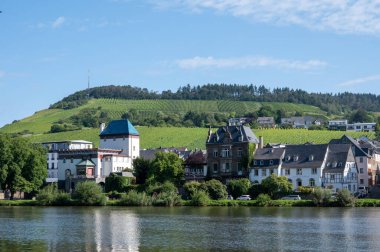 Mosel nehri manzaralı, üzüm bağları olan tepeler ve sabahları Traben-Trarbach kasabası, Almanya