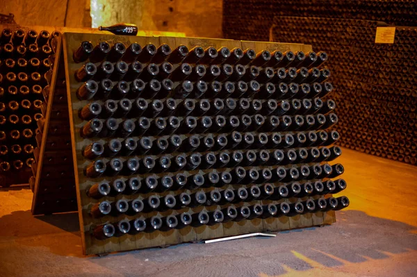 Wandelen Diepe Lange Ondergrondse Grotten Met Stoffige Flessen Rekken Champagne — Stockfoto