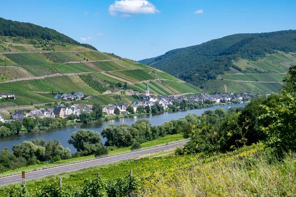 View Mosel River Hills Vineyards Old Town Zell Germany — Stock Photo, Image