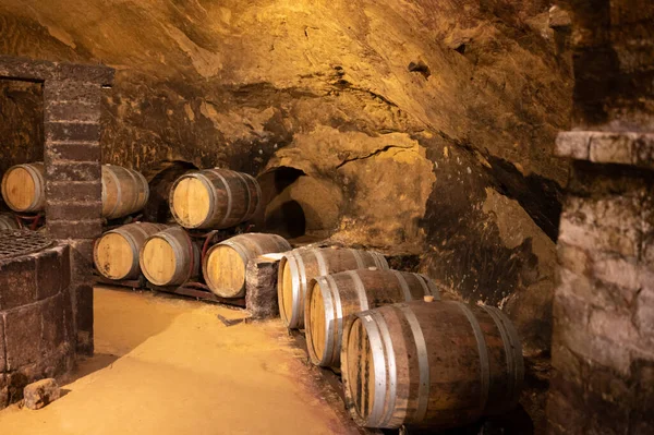 中世の地下ワインセラー 古い赤ワイン樽付き トスカーナの丘Montepulcianoの古い町でヴィノ貴族ディMontepulcianoの高齢化 イタリア — ストック写真
