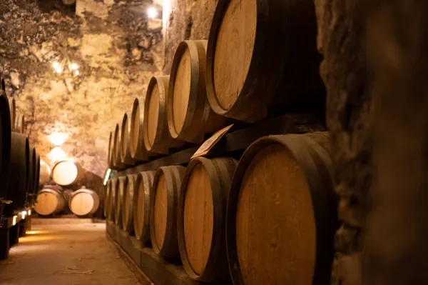 Caves Medievais Subterrâneas Com Velhos Barris Vinho Tinto Para Envelhecimento — Fotografia de Stock