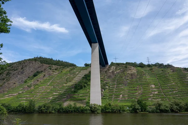 View Hills Terraced Vineyards Bank Mosel River High Mosel Bridge — Stock Photo, Image