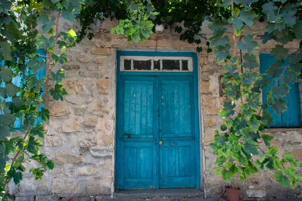 Puerta Madera Azul Vieja Pequeño Pueblo Chipriota Planta Uvas —  Fotos de Stock