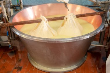 Parma, Reggio-Emilia, İtalya 'daki küçük peynir çiftliğinde parmesanlı parmesan peynirin inek sütünden yapılmış geleneksel bir işlem.