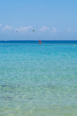 Kıbrıs Rum Kesimi 'nin Protaras kentindeki beyaz kumlu incir ağacı plajında Akdeniz' in berrak mavi suyu
