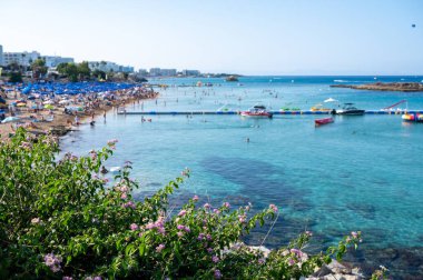 Kıbrıs Rum Kesimi 'nin Protaras kentindeki beyaz kumlu incir ağacı plajında Akdeniz' in berrak mavi suyu