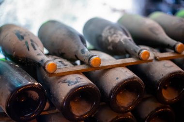 Derin ve uzun yeraltı mağaralarında, raflarda tozlu şişelerle yürür, Chardonnay 'den şampanya ve Reims, Champagne, France' da pinor noir üzümleri yapar.