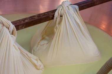 Parma, Reggio-Emilia, İtalya 'daki küçük bir peynir çiftliğinde parmesanlı parmesan peynirinin inek sütlü tekerleklerinden yapılan geleneksel bir işlem.