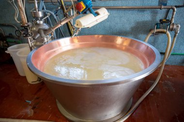 Parma, Reggio-Emilia, İtalya 'daki küçük peynir çiftliğinde parmesanlı parmesan peynirin inek sütünden yapılmış geleneksel bir işlem.