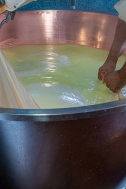 Parma, Reggio-Emilia, İtalya 'daki küçük bir peynir çiftliğinde parmesanlı parmesan peynirinin inek sütlü tekerleklerinden yapılan geleneksel bir işlem.