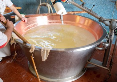 Parma, Reggio-Emilia, İtalya 'daki küçük bir peynir çiftliğinde parmesanlı parmesan peynirinin inek sütlü tekerleklerinden yapılan geleneksel bir işlem.
