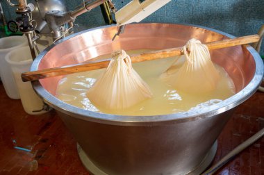 Parma, Reggio-Emilia, İtalya 'daki küçük bir peynir çiftliğinde parmesanlı parmesan peynirinin inek sütlü tekerleklerinden yapılan geleneksel bir işlem.