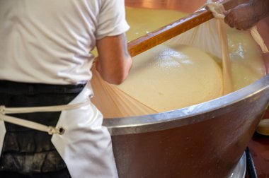 Parma, Reggio-Emilia, İtalya 'daki küçük peynir çiftliğinde parmesanlı parmesan peynirin inek sütünden yapılmış geleneksel bir işlem.