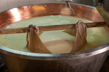 Parma, Reggio-Emilia, İtalya 'daki küçük peynir çiftliğinde parmesanlı parmesan peynirin inek sütü tekerleklerinden yapılan geleneksel işlem.