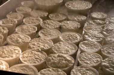 İtalya 'nın Parma kentindeki küçük peynir çiftliğinde sabahın erken saatlerinde taze, yumuşak ricotta peyniri yapma süreci.