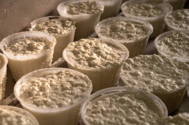 İtalya 'nın Parma kentindeki küçük peynir çiftliğinde sabahın erken saatlerinde taze, yumuşak ricotta peyniri yapma süreci.