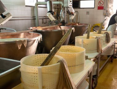 Parma, Reggio-Emilia, İtalya 'daki küçük peynir tarlasında parmegiano-reggiano parmesan peyniri yapmak için geleneksel bir yöntem.