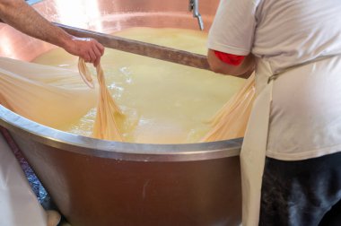 Parma, Reggio-Emilia, İtalya 'daki küçük bir peynir çiftliğinde parmesanlı parmesan peynirinin inek sütlü tekerleklerinden yapılan geleneksel bir işlem.