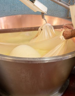 Parma, Reggio-Emilia, İtalya 'daki küçük peynir çiftliğinde parmesanlı parmesan peynirin inek sütünden yapılmış geleneksel bir işlem.