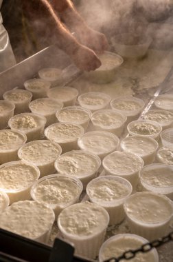 İtalya 'nın Parma kentindeki küçük peynir çiftliğinde sabahın erken saatlerinde taze, yumuşak ricotta peyniri yapma süreci.