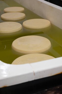 Parma, İtalya 'da küçük bir peynir çiftliğinde parmesanlı parmesan peyniri yapma süreci, 25 gün boyunca tuz emmek için tuzlu su banyosu getiren tekerlekler.