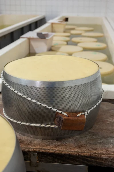 パルマの小さなチーズ農場でパルミジャーノ レッジャーノ パルメザン ハードチーズを作るプロセス イタリア 塩を吸収する塩浴と塩室でチーズホイールとステンレス製のバックル — ストック写真