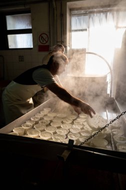 İtalya 'nın Parma kentindeki küçük peynir çiftliğinde sabahın erken saatlerinde taze, yumuşak ricotta peyniri yapma süreci.