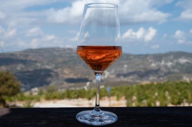 Kıbrıs adasının şarap endüstrisi, üzüm bağları manzaralı ve güneşli bir günde Troodos dağlarının güney yamaçlarında şarap tadıyor.