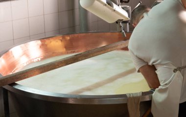 Parma, Reggio-Emilia, İtalya 'daki küçük peynir çiftliğinde parmesanlı parmesan peynirin inek sütü tekerleklerinden yapılan geleneksel işlem.