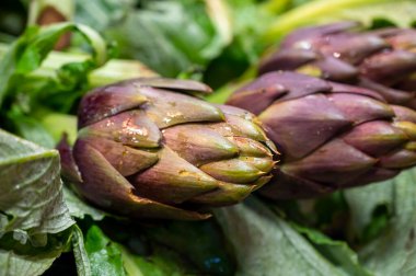 Genç Romanesco enginarının yeni hasadı Floransa 'daki şehir pazarında satılıyor.