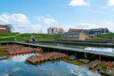 İstiridye yetiştirme sistemleri, istiridyeleri beton istiridye çukurlarında tutmak, sürekli yenilenen sularda muhafaza etmek, Yerseke, Zeeland, Hollanda 'daki çiftlikte satılığa hazır taze istiridyeler ve tüketime hazır.