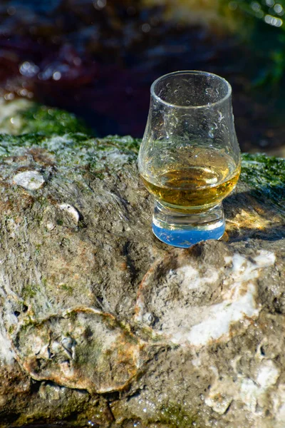 Degustación Whisky Escocés Malta Simple Mezclado Mar Azul Con Piedras — Foto de Stock